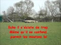 echo stage troupeaux 2011.wmv