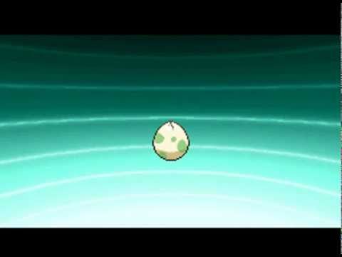 Pokemon Nattorei