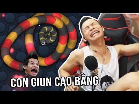 Chơi thử Rắn Săn Mồi Slither.io không Top 1 không ngủ và cái kết của Con Giun Cao Bằng.