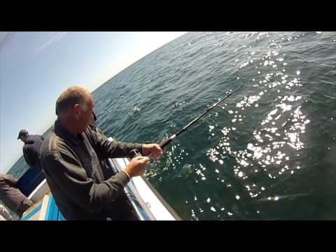 Cod Fishing with the Bridgewater boys 07 06 15 aboard Shande 3 Exmouth