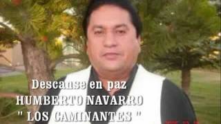 LOS CAMINANTES - UN PUÑO DE TIERRA ( D.E.P. HUMBERTO NAVARRO )