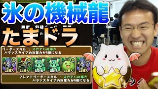 【パズドラ】目指せたまドラ！氷の機械龍 地獄級に挑戦！