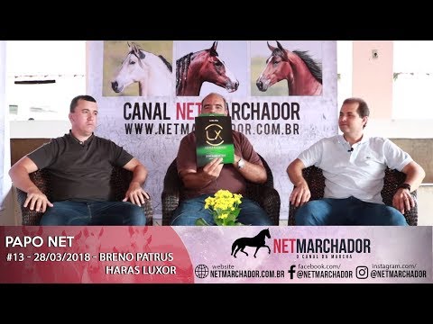 #13 PAPO NET - BRENO PATRUS DO HARAS LUXOR - MANGALARGA MARCHADOR