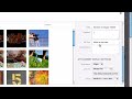 Wordpress 101: Adding Images