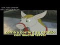 El burrito dienton.mp4