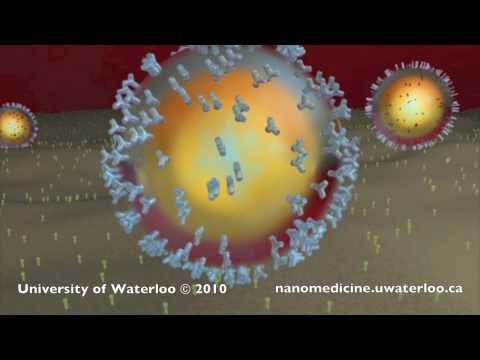 Nanotechnology for Targeted Cancer Therapy