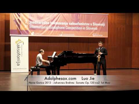 Luo Jie - Nova - Gorica 2013 - Johannes Brahms: Sonata Op 120 no2 1st Mov