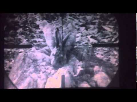 Петли на косулю Петли на косулю