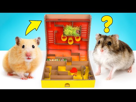 How To Make King-Of-The-Hill Cardboard Maze For Your Hamster 🐹👑