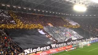 Choreo zum Spiel Dynamo Dresden-Aue