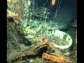 1/3 Dr. Robert Ballard Rob ship ocean black sea researcher Titanic other antique in ocean