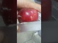 Kmoch ah song ha