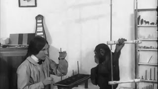 Опыты с шимпанзе