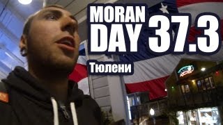 Moran Day 37.3 - Тюлени