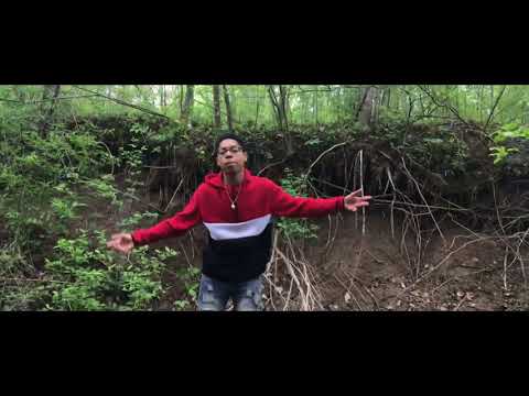 Download FASTLIFE DRE