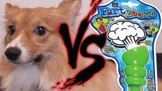 Ein The Puppy Corgi Vs The Fart Zooka