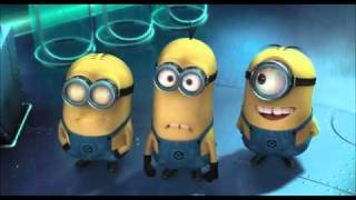 papuche.wmv