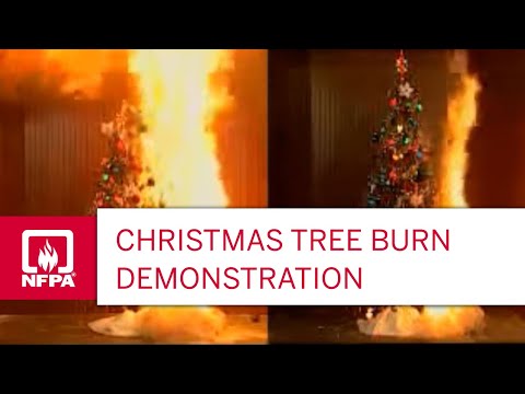 Christmas Tree Fire - Youtube