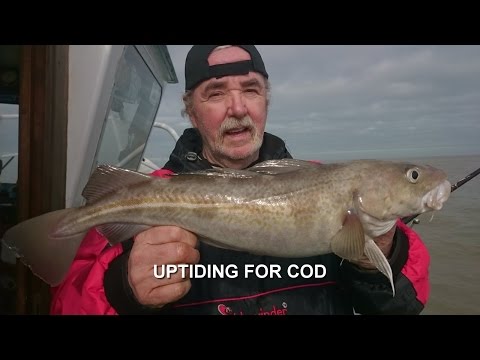 On Board the Skerry-Belle charter boat uptiding for Cod