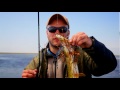 Lucky Craft Sammy 105 by Bugorsky