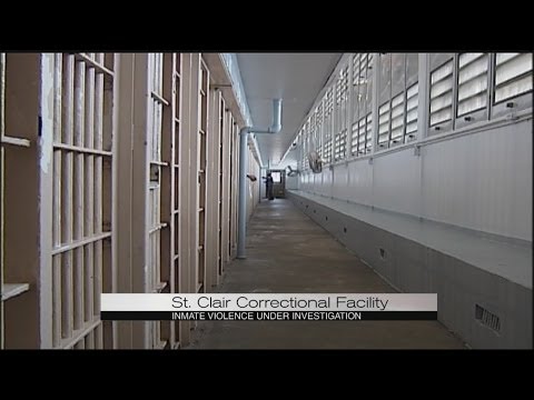 Dont Get Caught Off Guard Insightful Guide To Dodge Correctional Institution Survival Tactics - jx91bb5