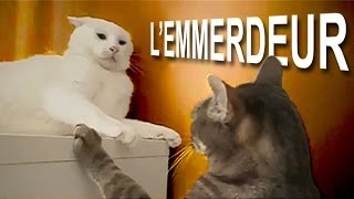 L'emmerdeur