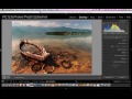 Học Lightroom 4 - 036 Lấy nét tấm hình