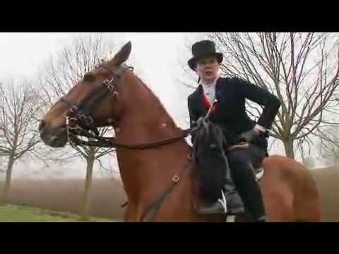 riding horse dildo riding horse dildo