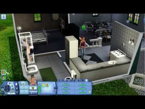 The Sims 3 Gameplay