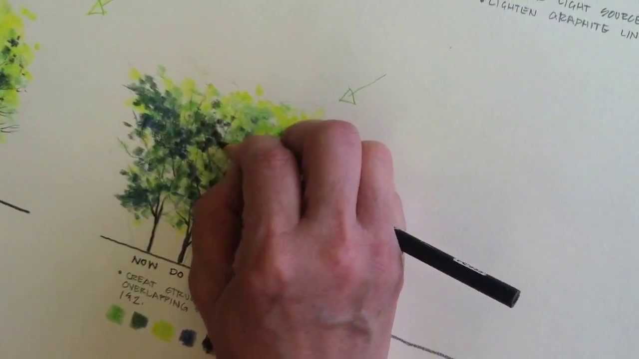 Rendering trees using colored pencil - YouTube