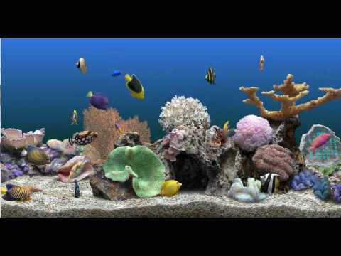 serene screensaver marine aquarium lite