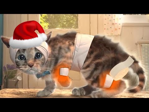 Fun Pet Care Game - Little Kitten Adventures (New Update) - Play Costume Dress-Up Party Gamepaly