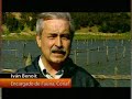 Canal 13 » Festival Mundial de Aves 20104