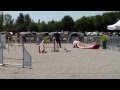 Trophée par Equipe 2ème manche Jumping