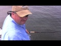 Fluke Fishing with Live Bait