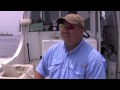 Fluke Fishing with Live Bait