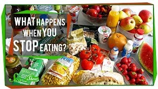 What Happens when you Stop Eating?