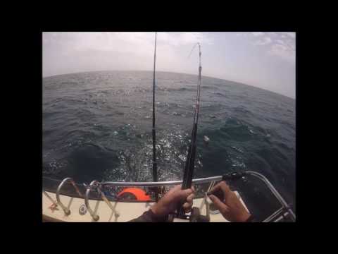 Wreck fishing for Cod on Kelleys Hero 2 from Portsmouth