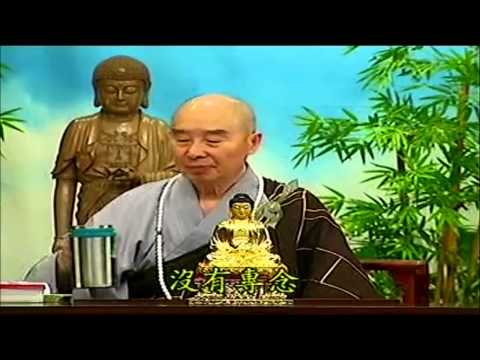 Kinh Vô Lượng Thọ (Giảng Lần Thứ 10, 1998) (Tập 177 Và 178)
