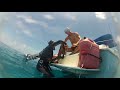 Spearfishing Rare Marbled Grouper - Bahamas Part 2 (Ted's HoldOver)