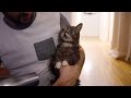 BUB DRIES