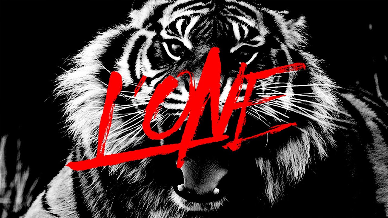 l one фото тигр онлайн l one фото тигр