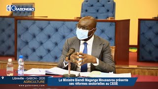 GABON / AGRICULTURE : Biendi Maganga Moussavou présente ses réformes sectorielles au CESE