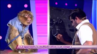 Artus - J'apprends la multiplication à un singe #ONDAR