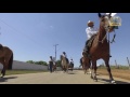 Cavalgada Ariquemes - Expoari - youtube