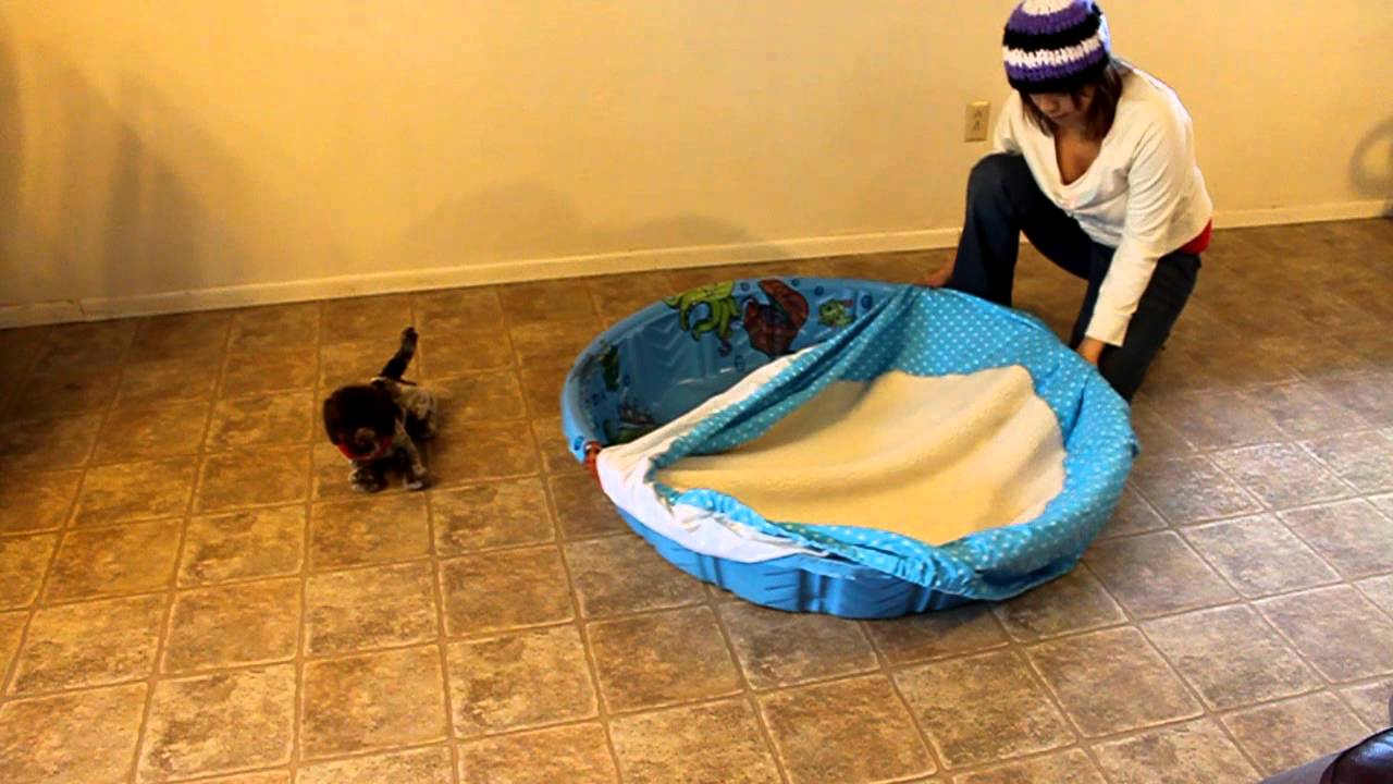 whelping pool cover.MOV - YouTube