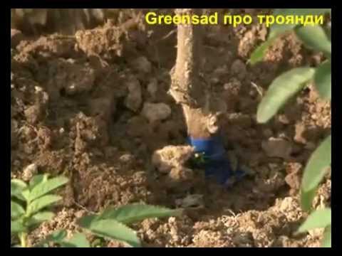 Смотреть фильм люди х дни минувшего будущего в hd качестве 720