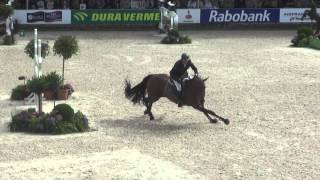 Orient Express et Patrice Delaveau - Vainqueurs GP CSIO de Rotterdam