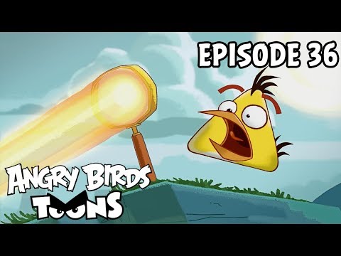 Angry Birds Toons #36 - Zahřátý