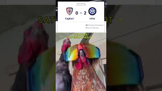 Accurate representation of admin right now 🐔? #Shorts
